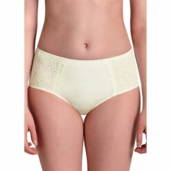 Gaine Culotte Havanna ANITA Comfort Crystal