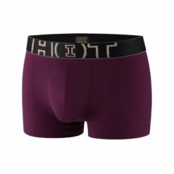Pack 2 Boxers HOT Noir Et Violet En Polyamide -Sous-vêtement Soldes Boutique 1600x1600 pack 2 boxers hot noir et violet en polyamide p2 51 22012018