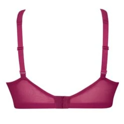 Soutien-gorge Pour Prothèse ANITA Care Orely Cerise 7 Soutien-gorge Pour Prothèse ANITA Care Orely Cerise -Sous-vêtement Soldes Boutique 1600x1600 soutien gorge pour prothese anita care orely cerise p3 23 28092022